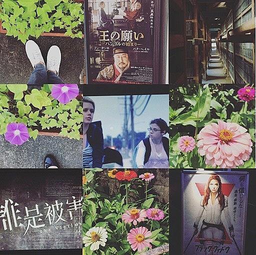 天使の眼 野獣の街とは 映画の人気 最新記事を集めました はてな