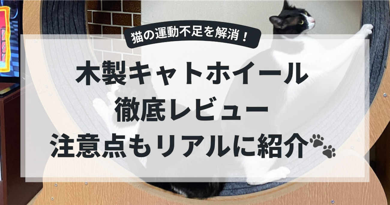 猫の運動不足解消に】木製キャットホイールを導入してみた！使って感じ 