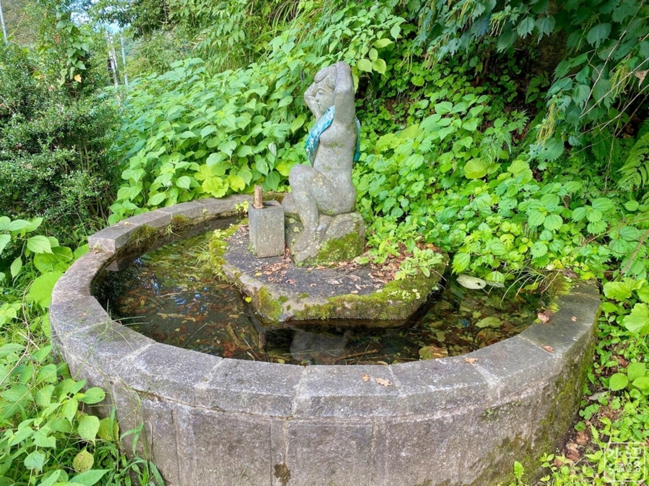 白岩清水（新潟県妙高） - 水辺遍路