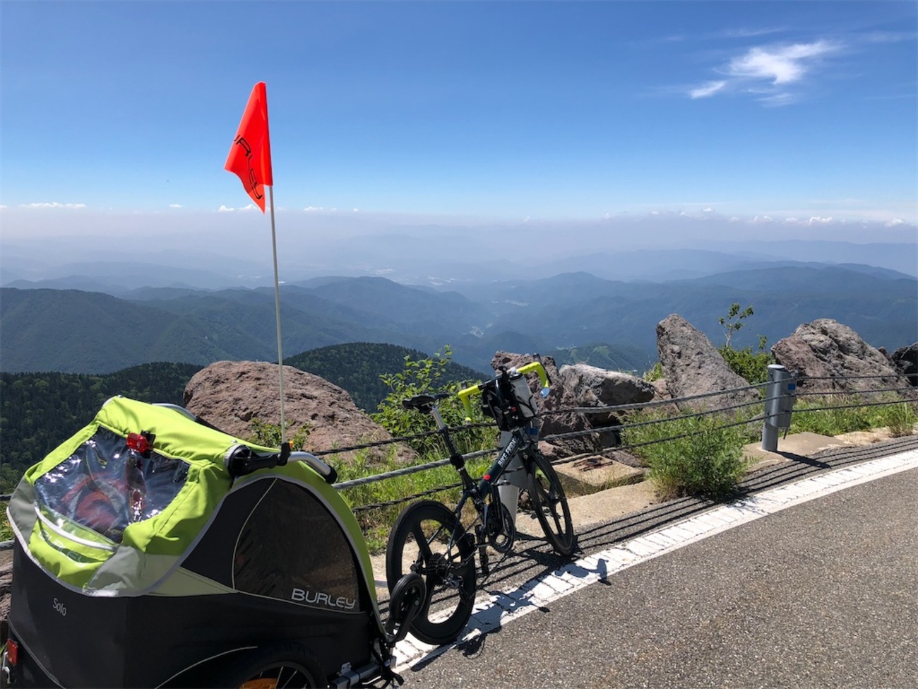 最高な子供乗せ自転車用のチャイルドトレーラー バーレーのソロの徹底 