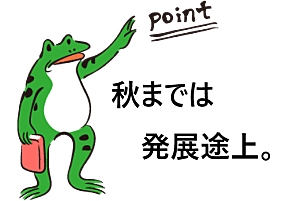 謹賀新年とは 一般の人気 最新記事を集めました はてな