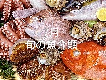 メイタガレイとは 動植物の人気 最新記事を集めました はてな
