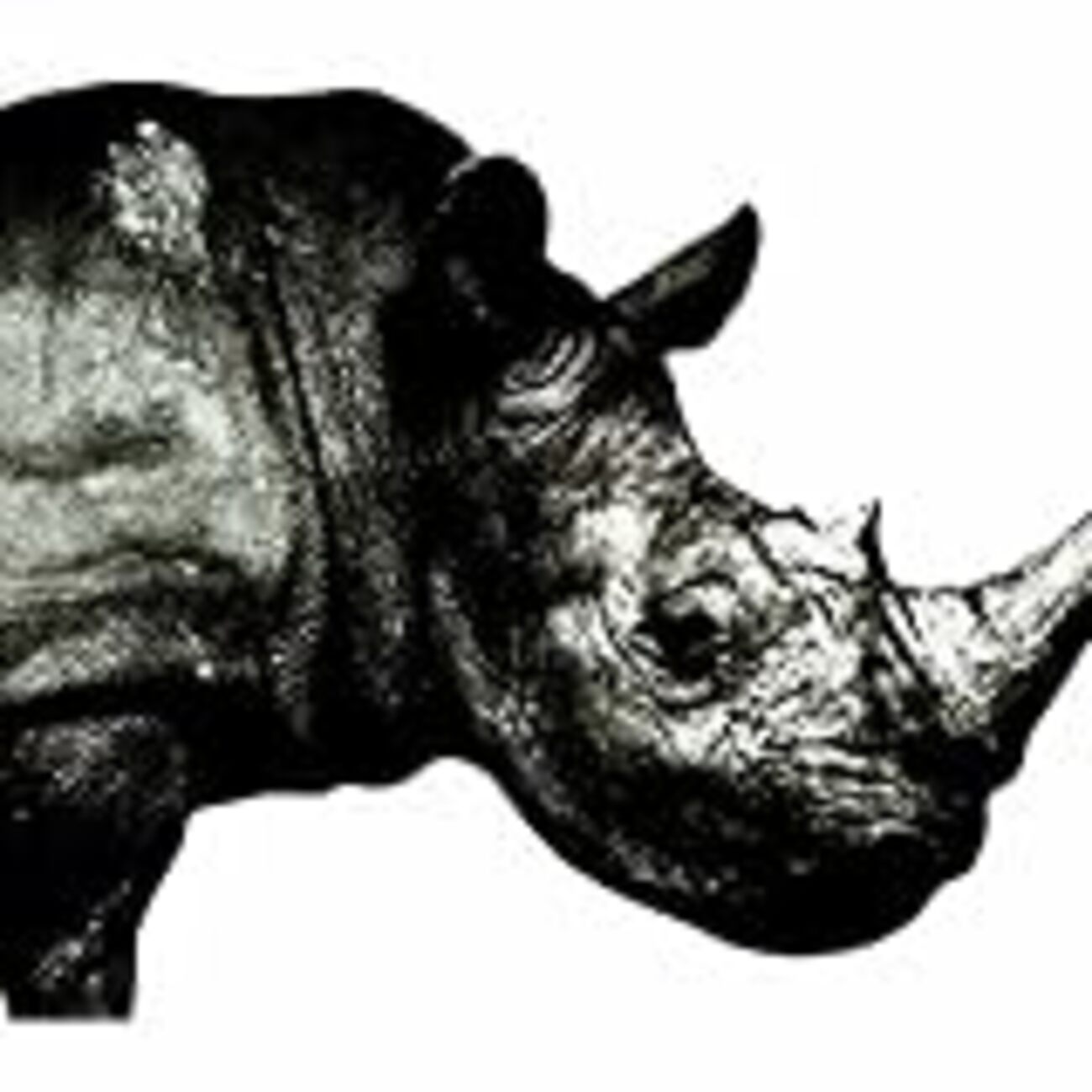 Mr.Children のベストライブを観たい方へ。 - igahateのブログ