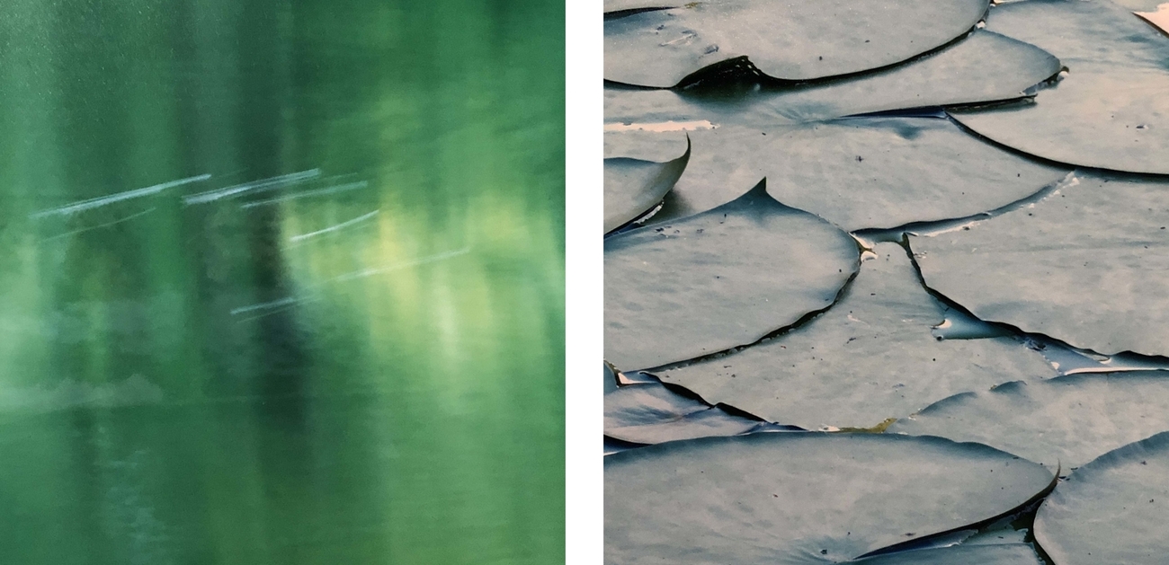 モネと写真。鈴木理策の《水鏡》 - マツフサコ
