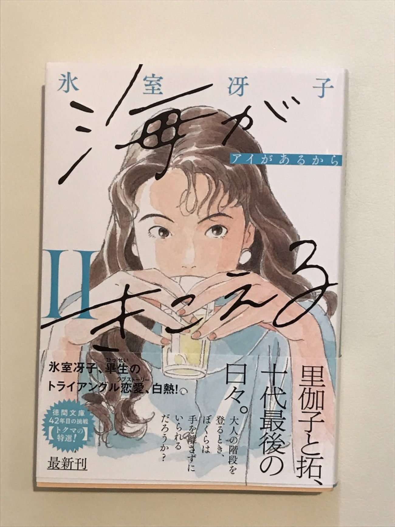 僕が好きなひとへ 海がきこえるより 氷室冴子 近藤勝也 徳間書店 僕が好きなひとへ : 海がきこえるより(氷室冴子, 近藤勝也 著