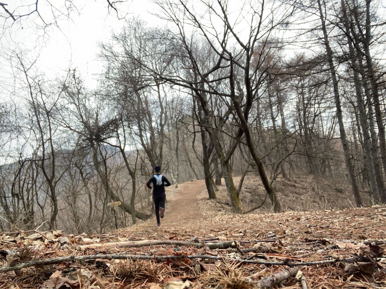 山道や坂道を走って登りたいときに心がけたいこと - Mt. Taro Trail Base 太郎山トレイルベース