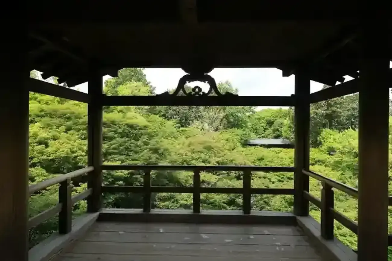 京都・洛東 新緑2026 ～東福寺 5月12日～ - ねこづらどき