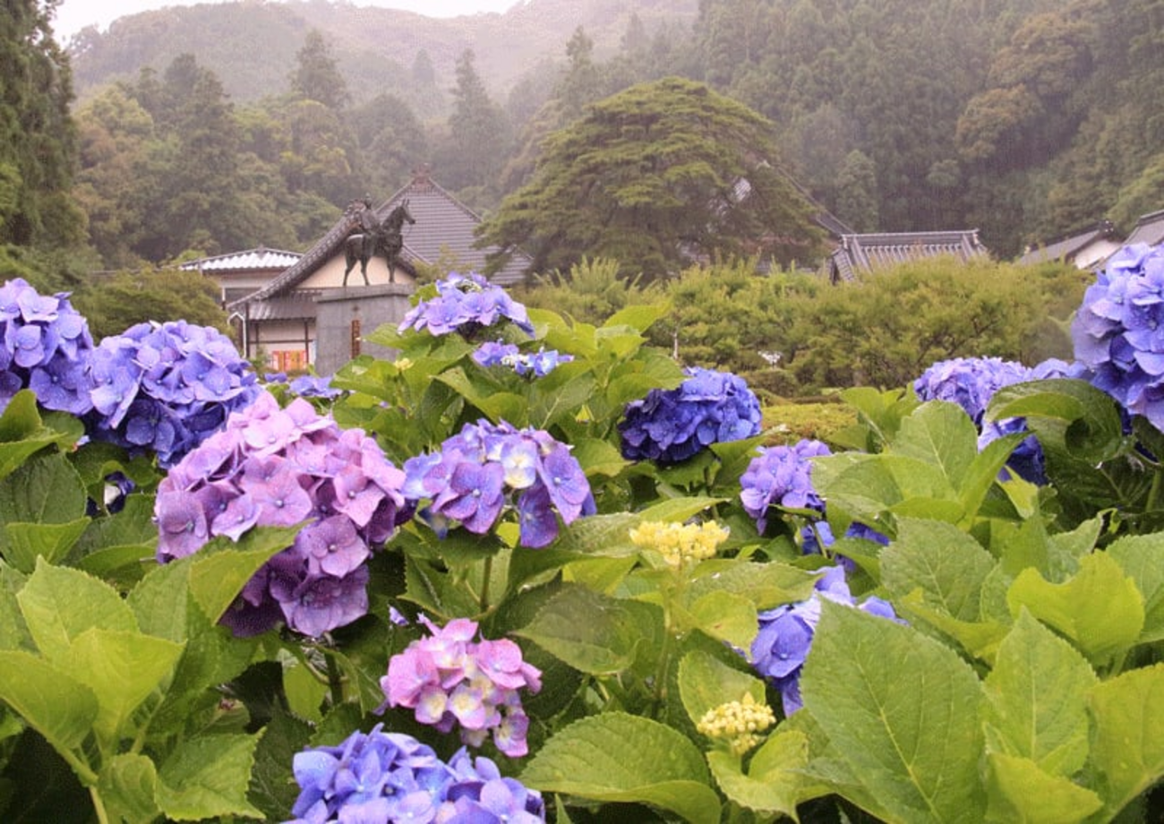 雨のち曇り・・・でした - のんびりと・・・