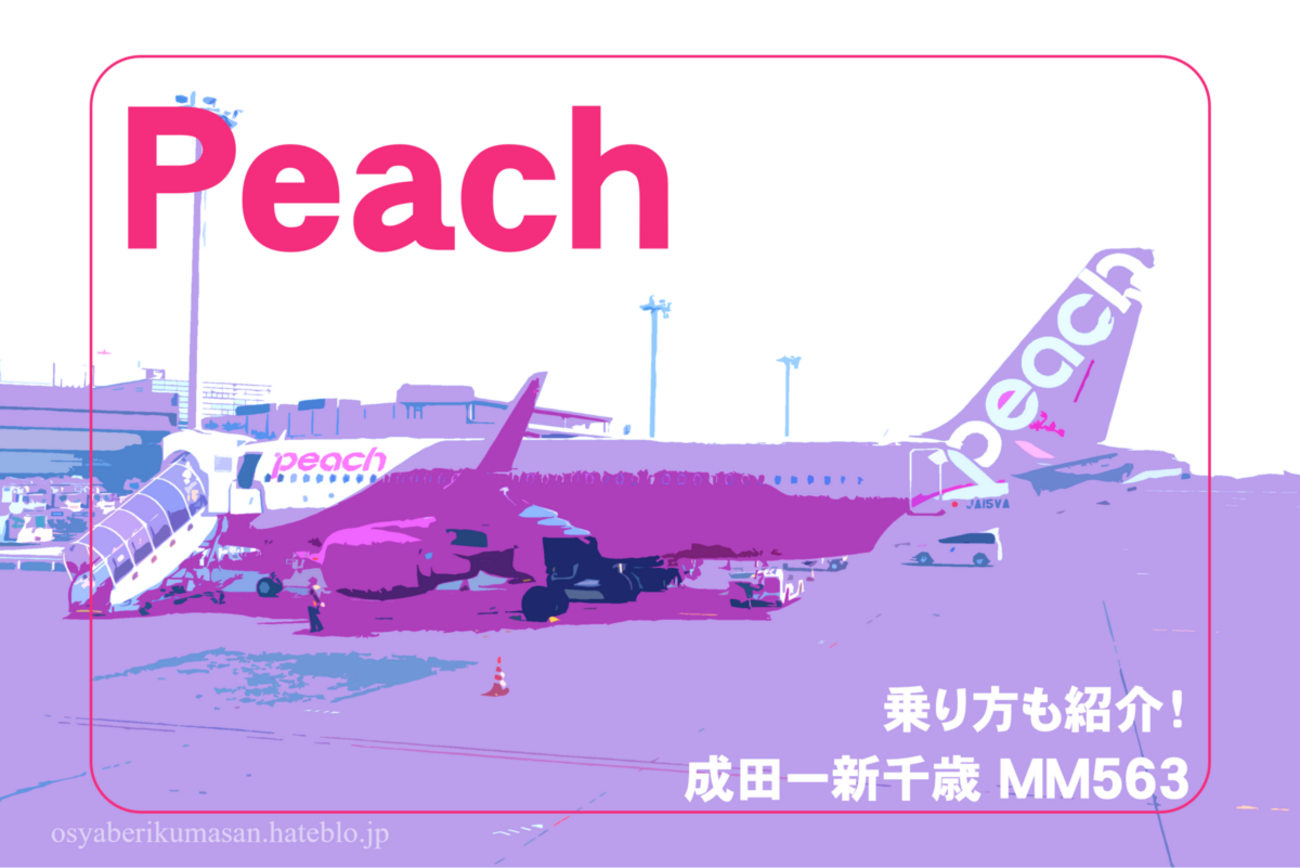 大揺れの新千歳 | Peachで行く成田ー新千歳 #2 フライトの様子 - 旅 
