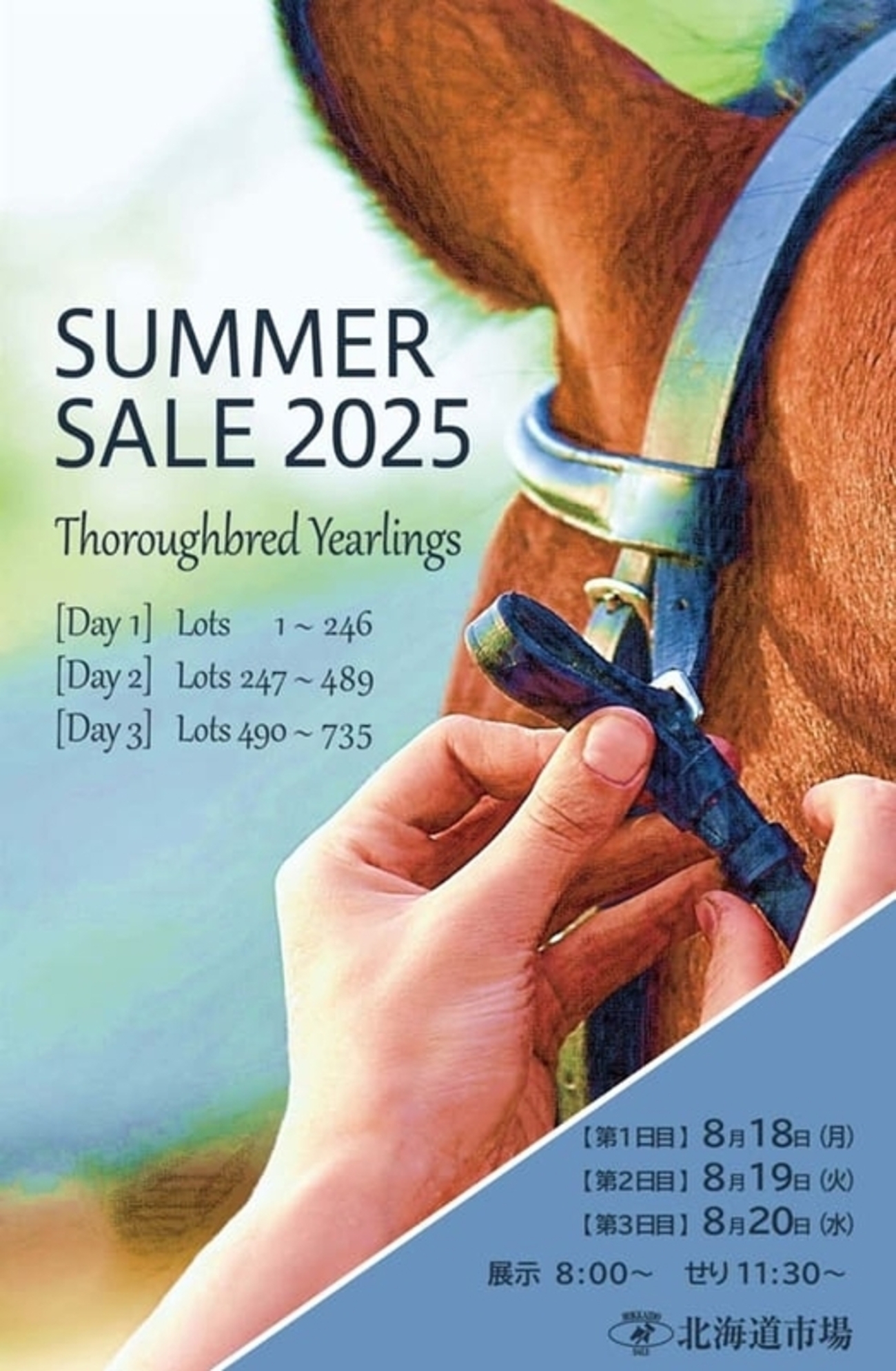 サマーセール2025(Summer Sale)】の「事前公開資料」が公開 - 馬市