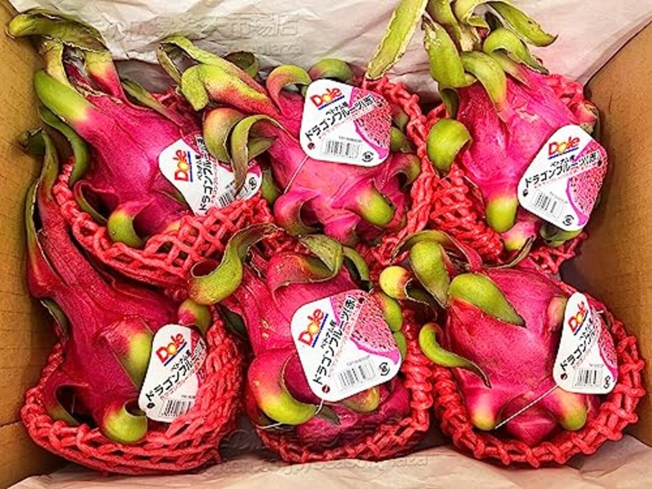 backend=imagemagick;version=1;