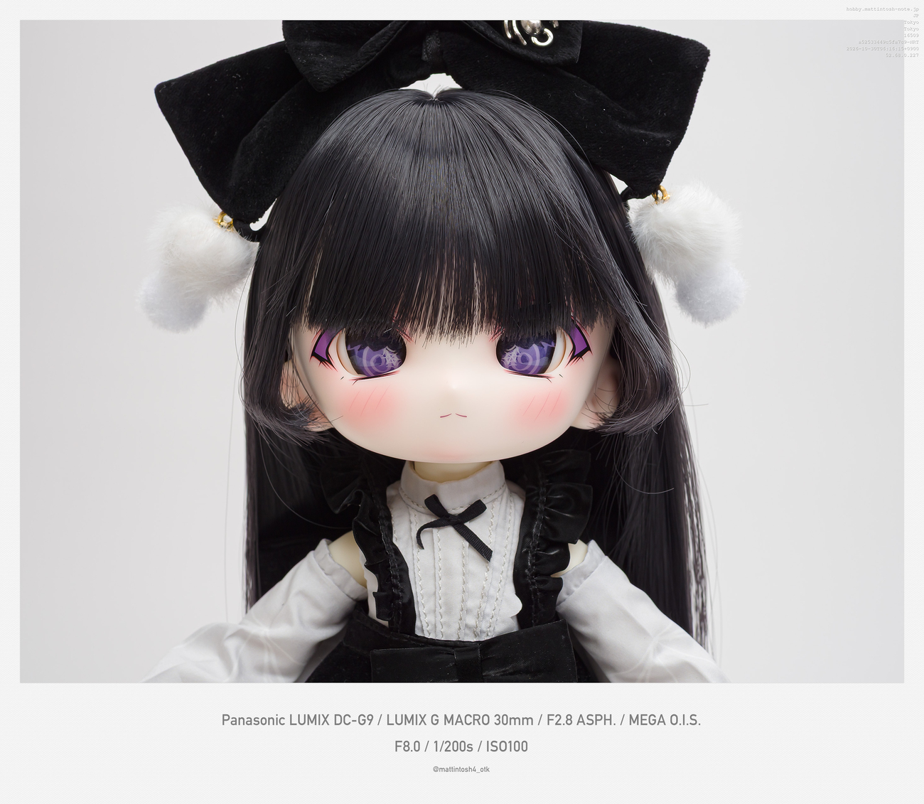 TinyFox 阿拉克涅 Arachne アラクネちゃんをお迎えしました 