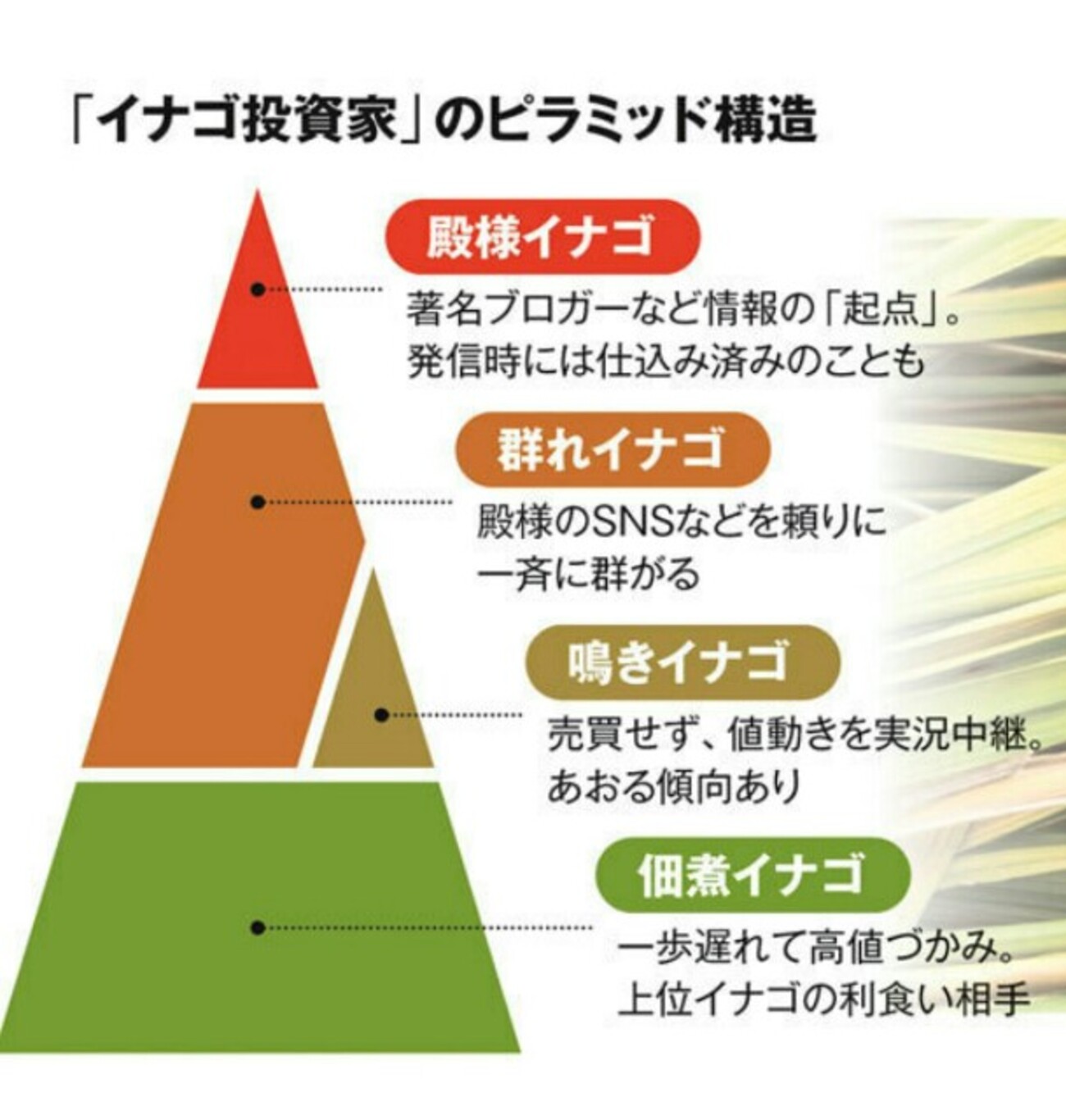 日経マネー】 イナゴ投資法とは！? - 株初心者が本気で儲けるブログ