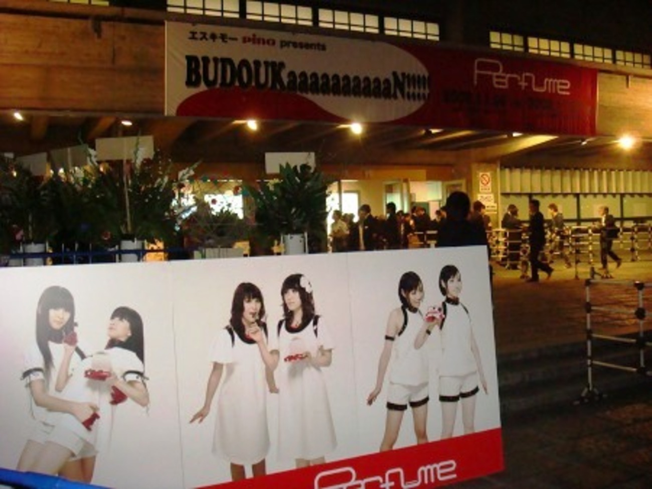 Perfume 日本武道館ワンマンライブ BUDOUKaaaaaaaaaaN!!!!! - ひっそり斬る