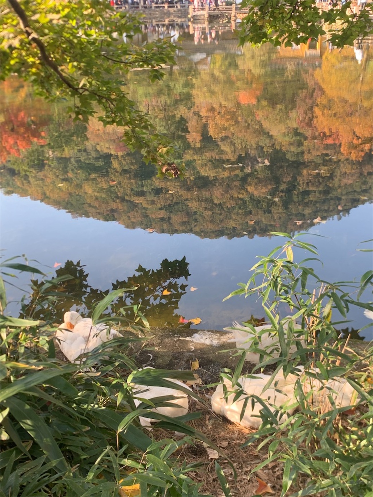 中国4大紅葉スポット「天平山」で紅葉狩り - 夫が中国現採決めてきた