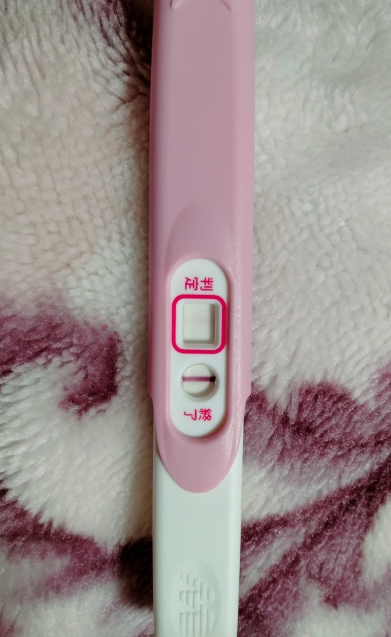 妊娠線　素人 妊娠したときの移植周期③＜2個を二段階移植→妊娠＞ - ひらひらこブログ