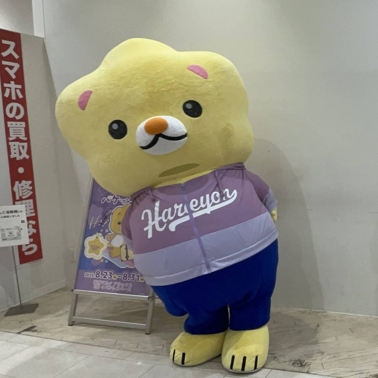 ぽっぷあっぷ ハレヨンくんのハッピーバケーション 開催 店内レポート 