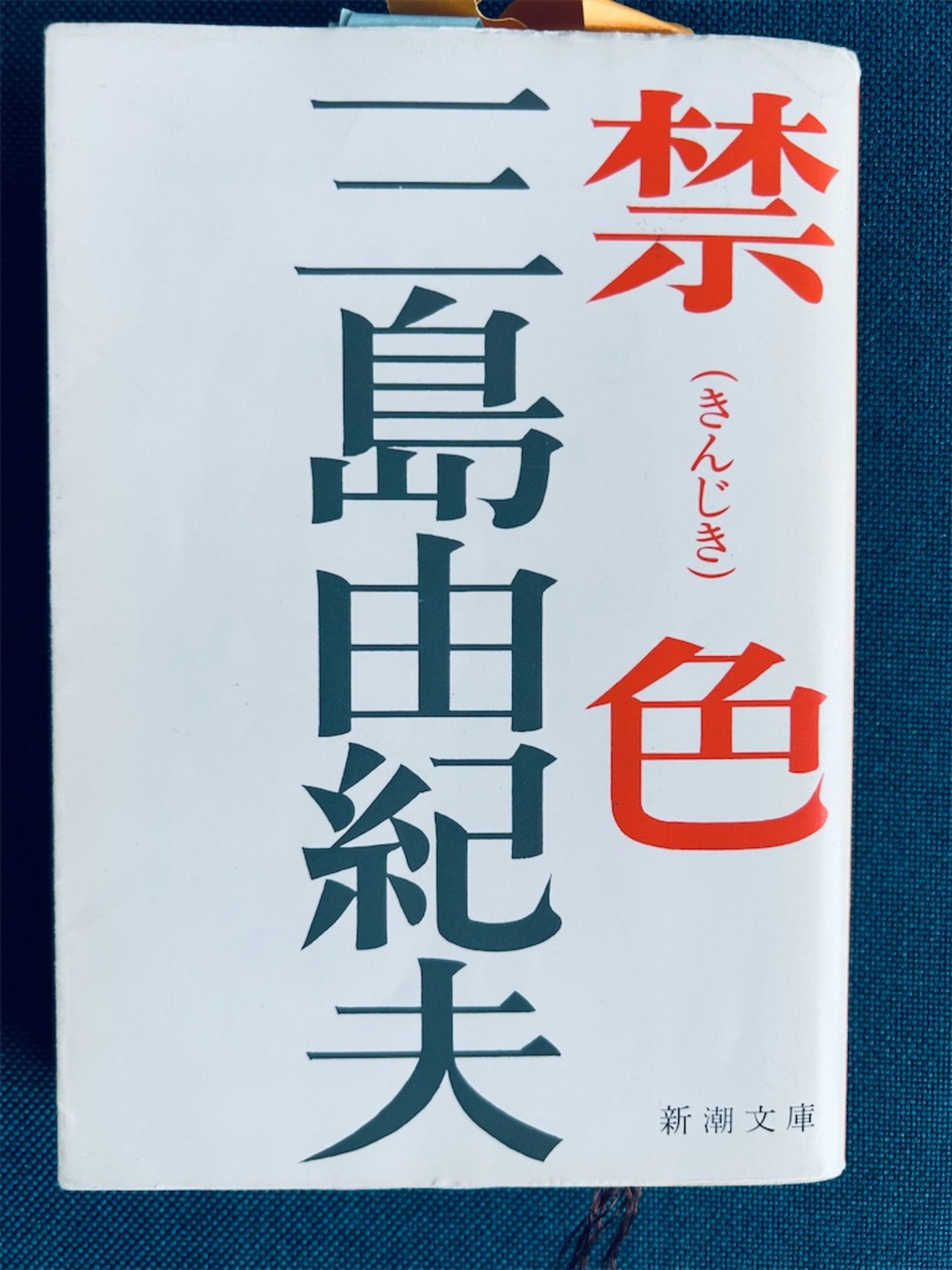本】三島由紀夫『禁色』～美しいことは正義。軽佻浮薄な悠一の生き様は 