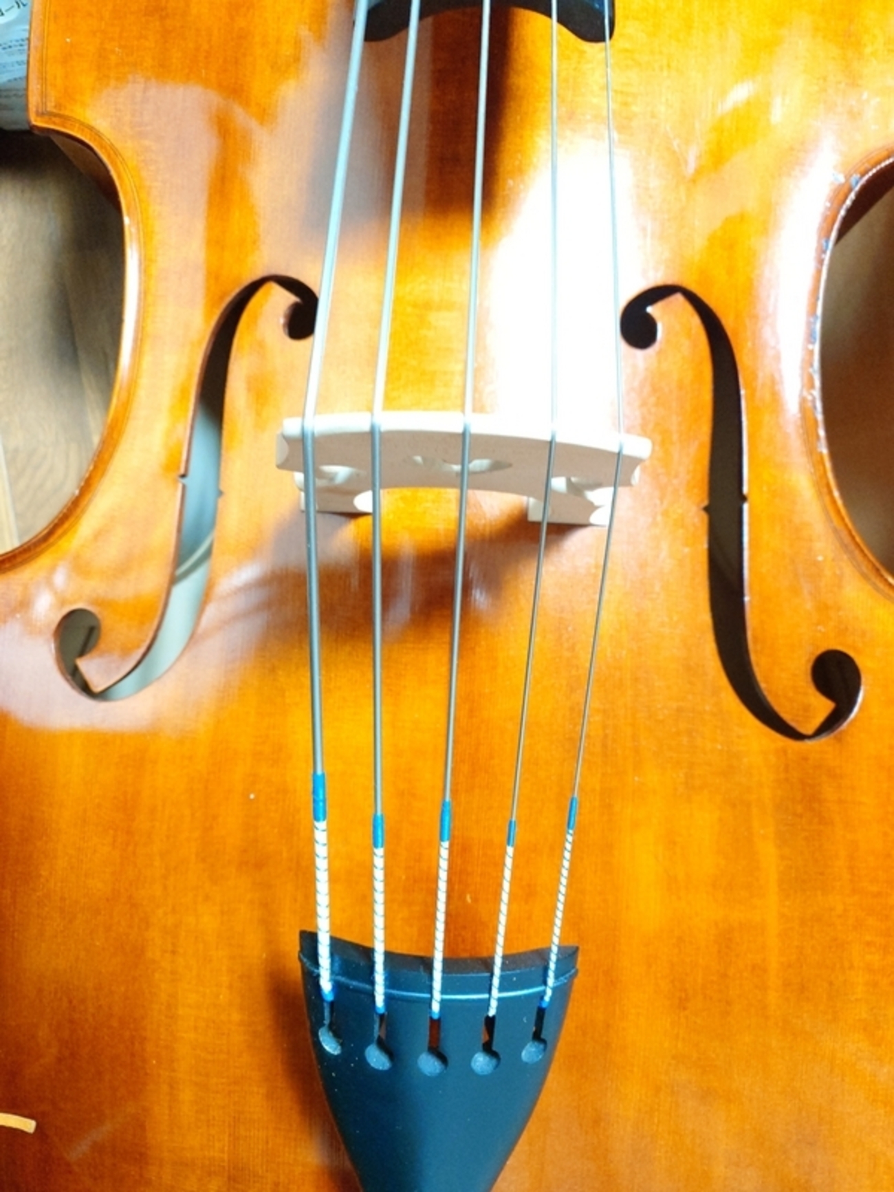 backend=imagemagick;version=1; 