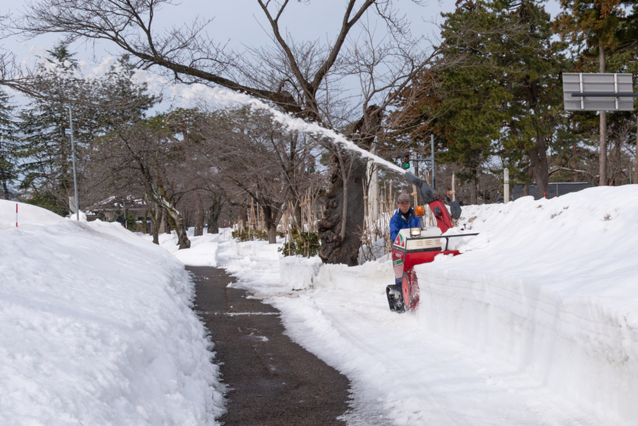 上越市の第100回高田城址公園観桜会に向け公園内の除雪や準備作業進む