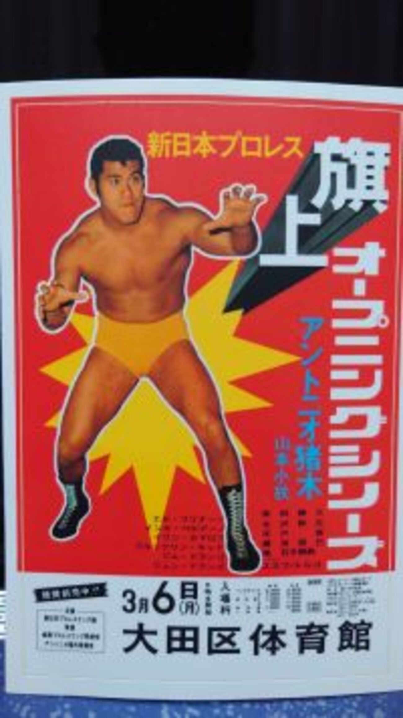 アントニオ猪木をさがして - 摩訶レコードブログ