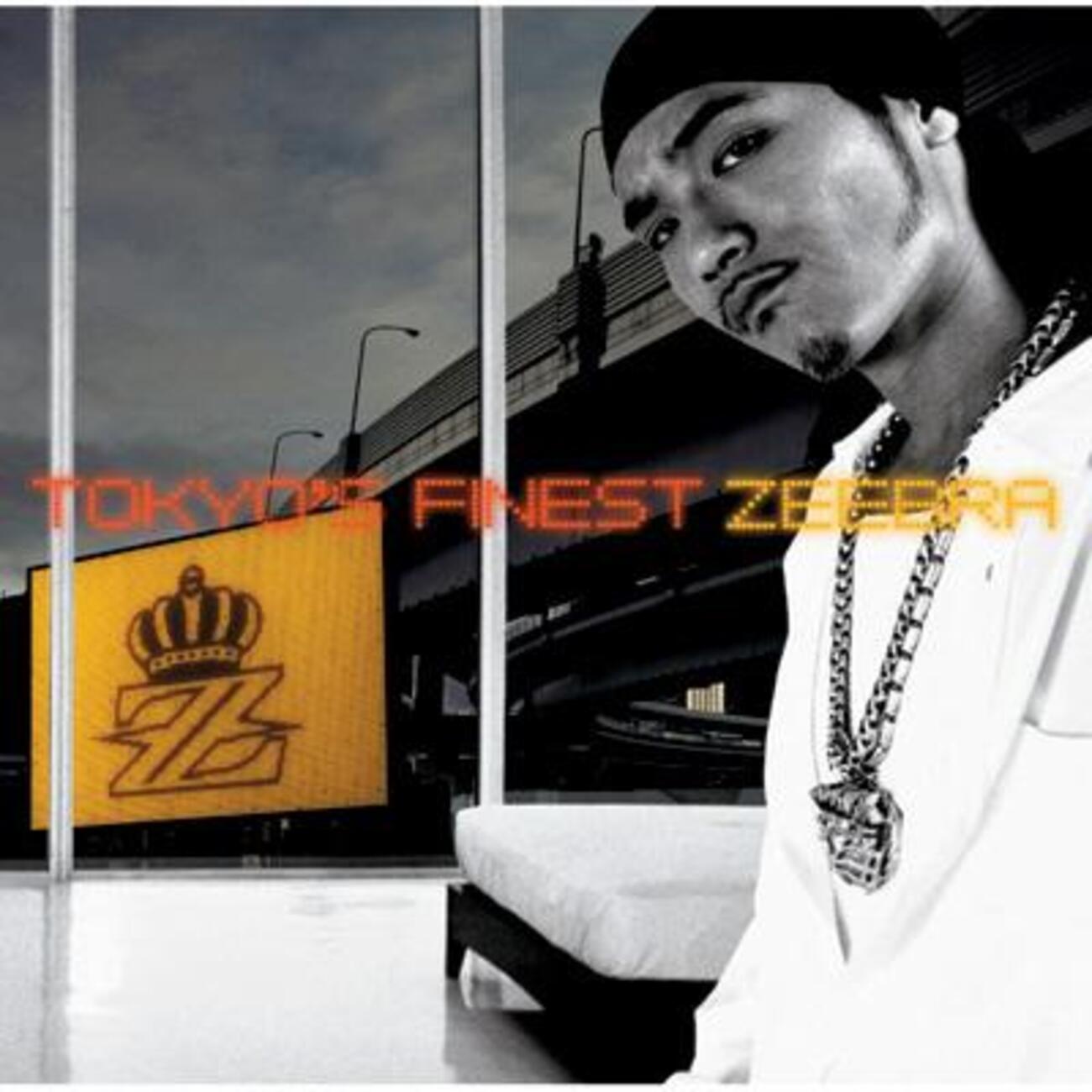 【限定プロモ盤】ZEEBRA / Touch the sky 12inch backend=imagemagick;version=1;