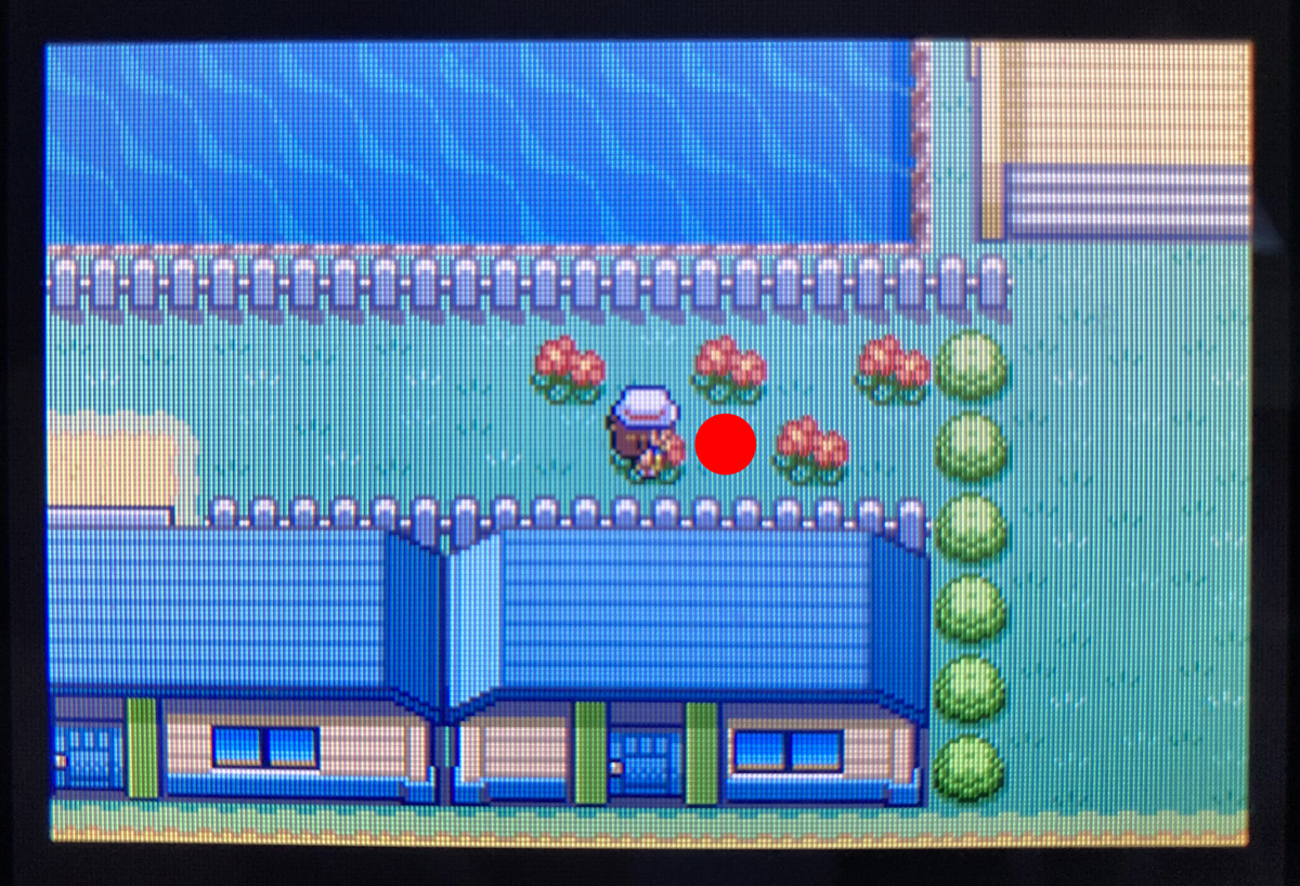 FRLGを図鑑60匹集めながらクリアする（別ロム使用あり） - ntk_4812の備忘録