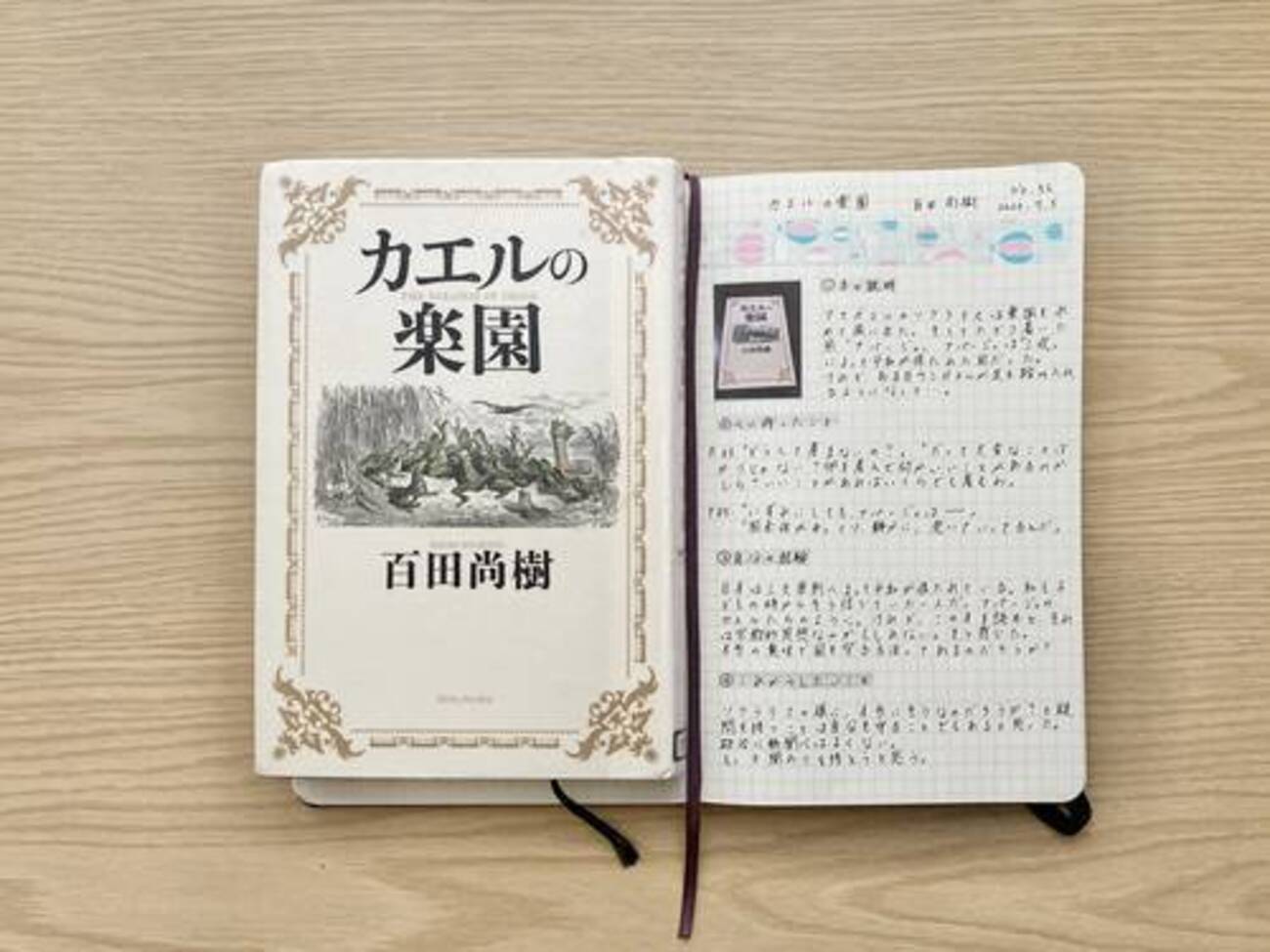 読書感想レビュー】日本を客観的に見れる寓話。百田尚樹さん著「カエル 