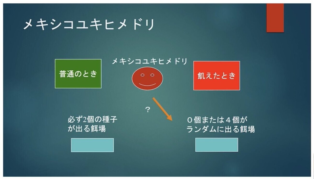 飢えたときにはリスクを冒す - 東京永久観光