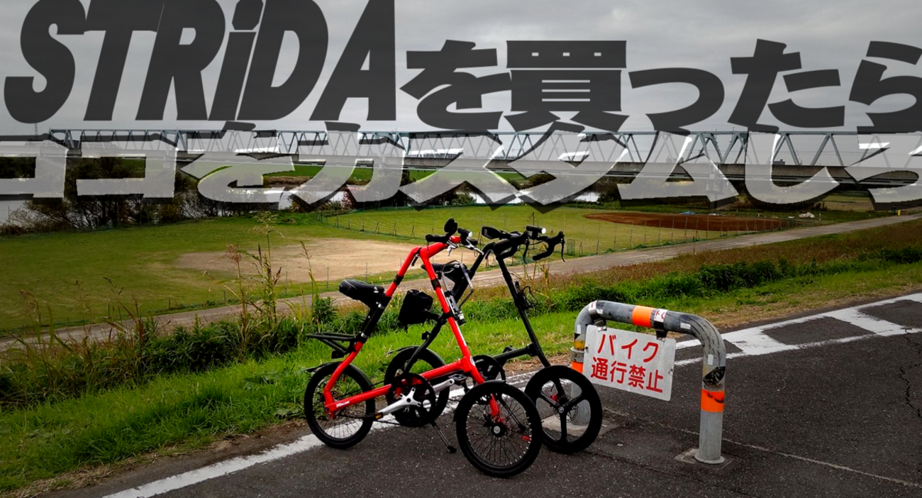 STRIDA(ストライダ)3.2☆レアカラー☆極美品☆取説付き☆手渡し希望