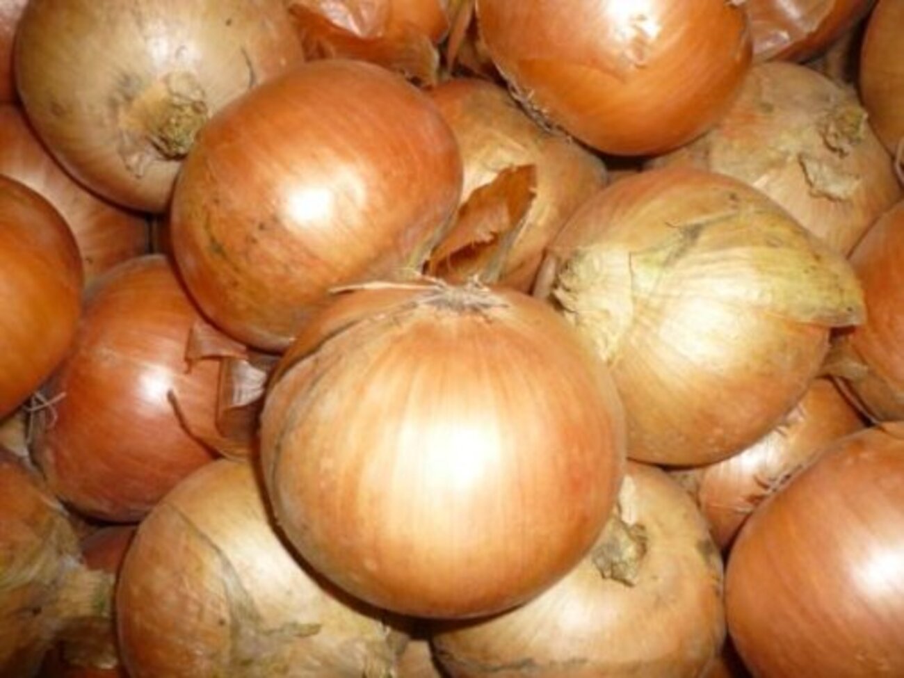 北見市　素人 18年間住んだ北見を思う - 徒然雑草