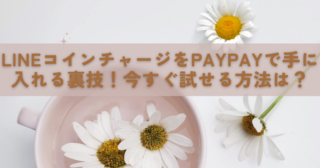 最新版】LINEコインをPayPayで買うには？最強の裏技ルート完全ガイド - ゆいの生活小箱