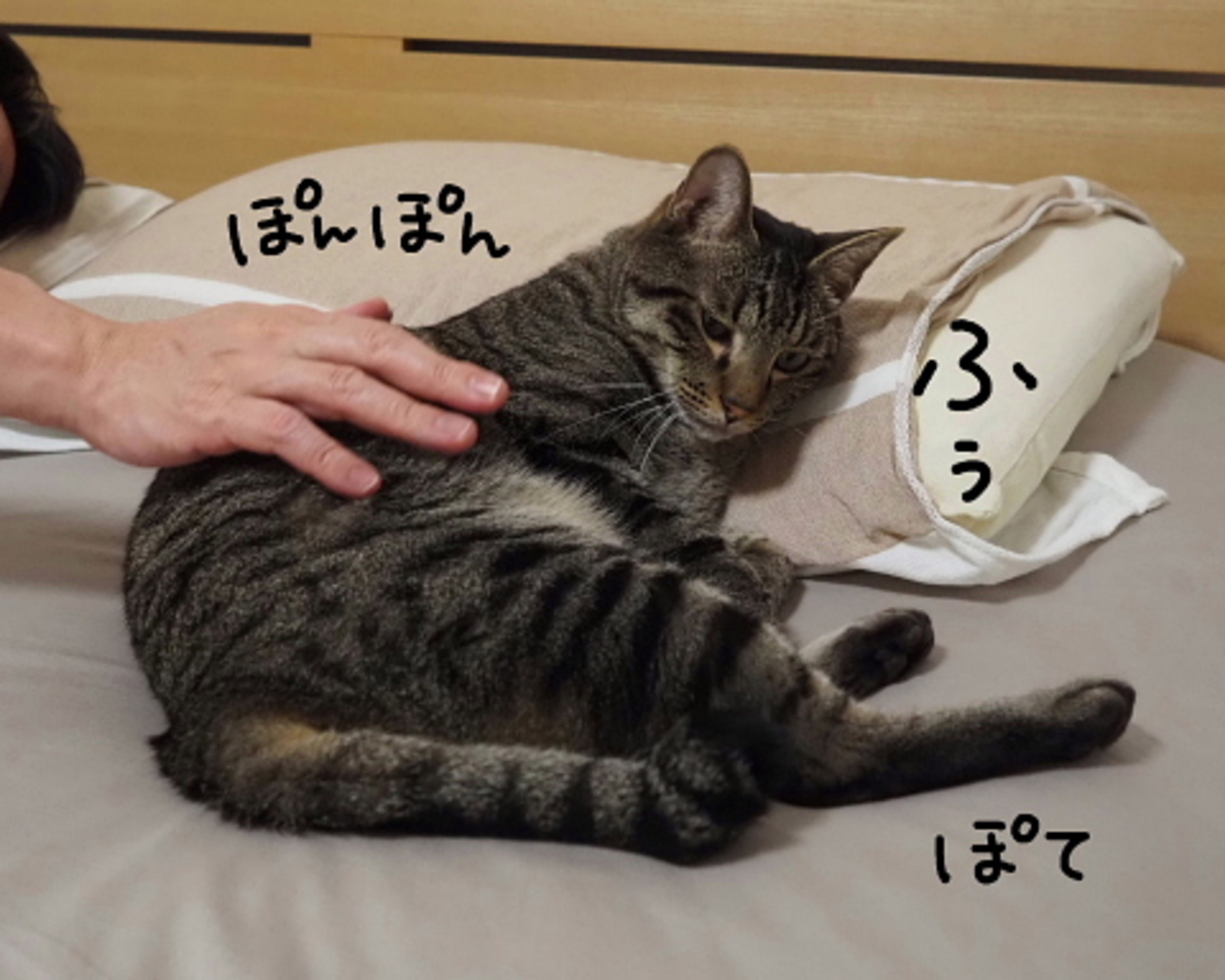 当時のメディア報道・掲載写真