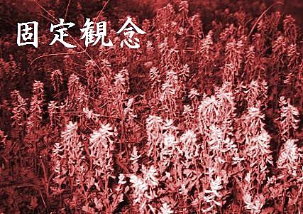ヤクテナ ヤクテナ 海外の反応 翻訳アンテナ Stg Origin Aegpresents Com ヤクテナ ヤクテナ 海外の反応 翻訳アンテナ Stg Origin Aegpresents Com