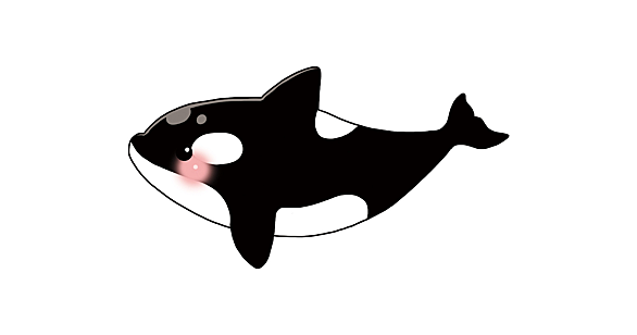 名古屋港水族館とは 動植物の人気 最新記事を集めました はてな 名古屋港水族館とは 動植物の人気 最新記事を集めました はてな