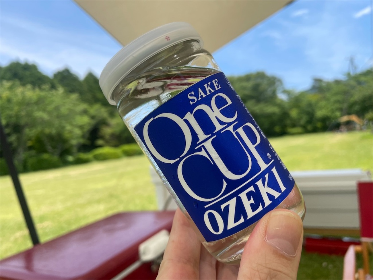実際に試した】ワンカップ大関の美味しい飲み方まとめ！熱燗はどう 