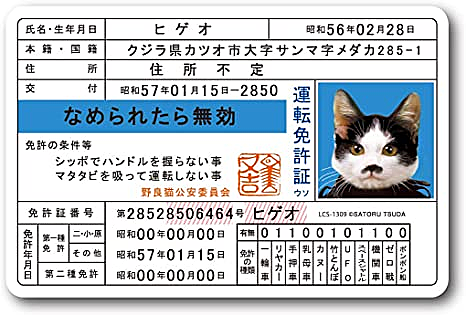 なめ猫とは 動植物の人気 最新記事を集めました はてな