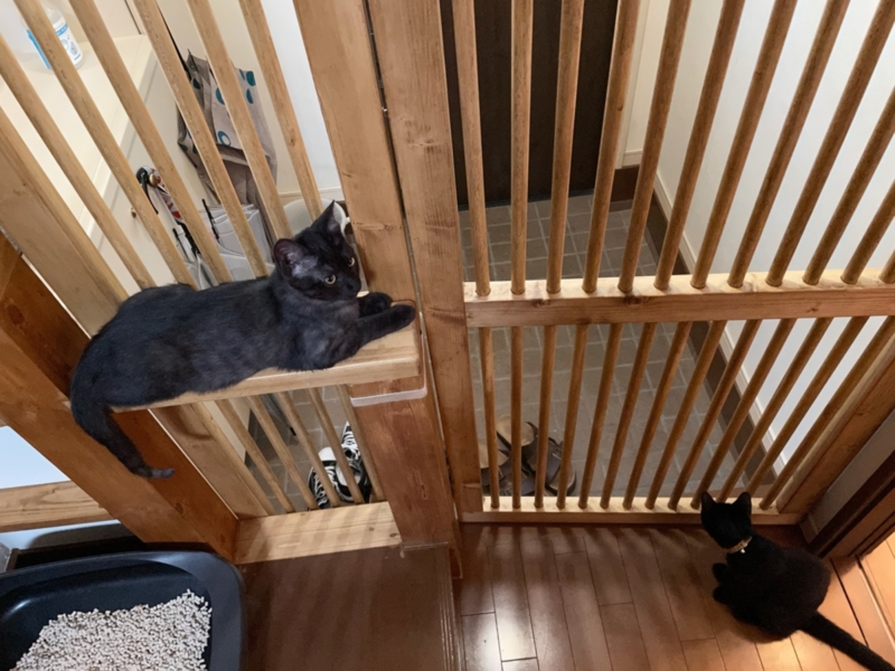 猫は無念、飼い主安心…な脱走防止柵をDIYしてみた - 寝る子のヌシのお 