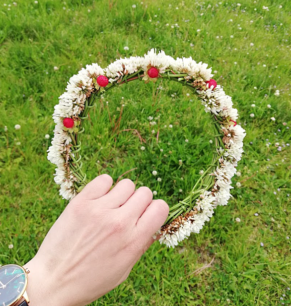 ヘビイチゴとは 動植物の人気 最新記事を集めました はてな