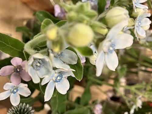 Tweediaとは 人気 最新記事を集めました はてな