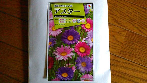 アスターとは 動植物の人気 最新記事を集めました はてな アスターとは 動植物の人気 最新記事を集めました はてな