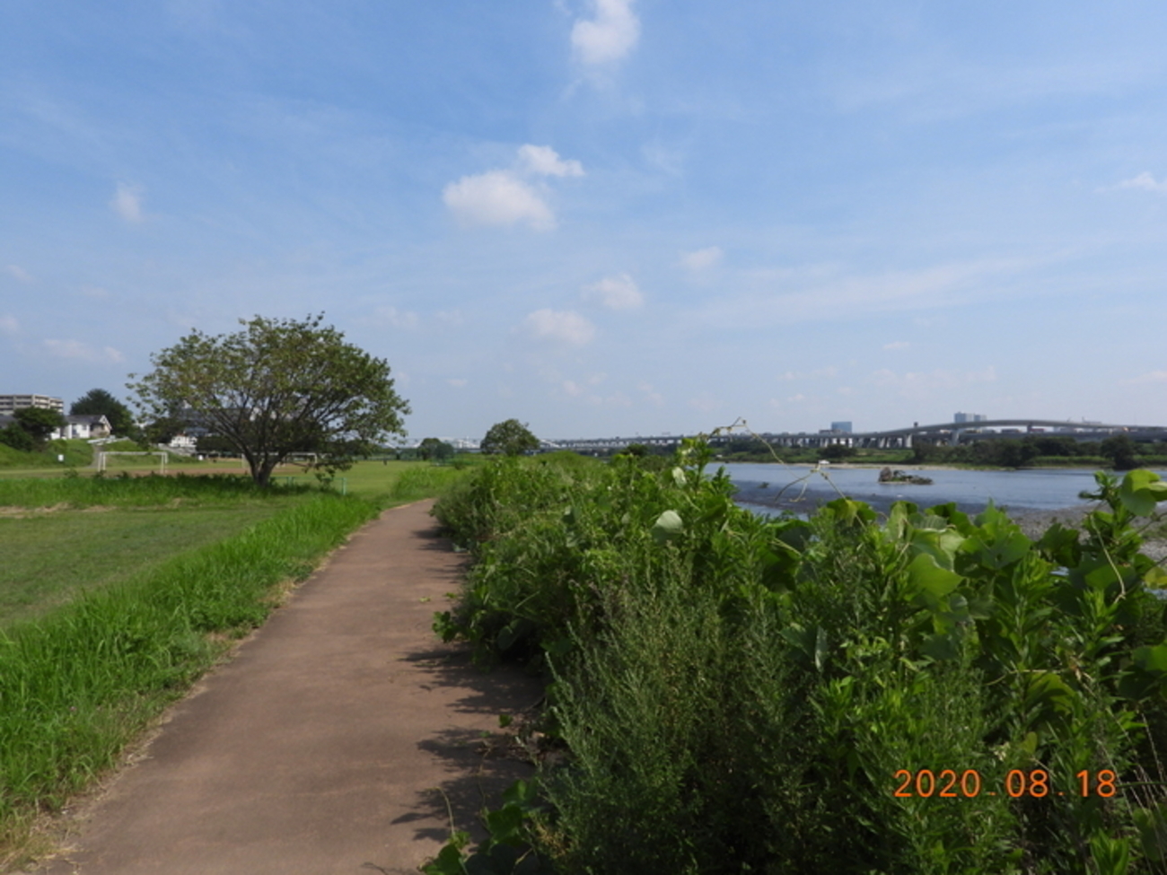 旭 町 スポーツ 広場