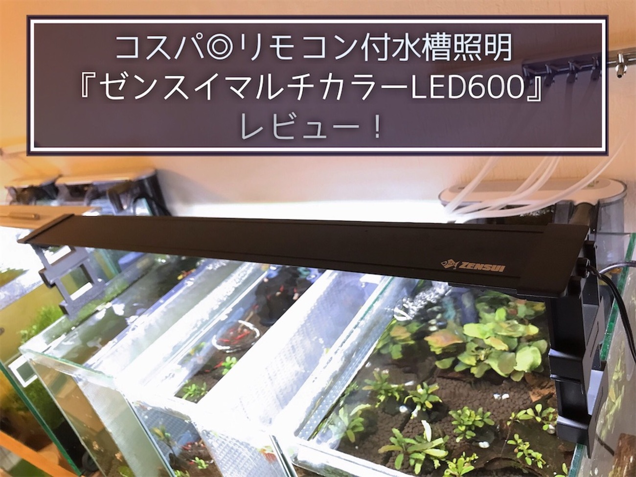 コスパ◎リモコン付水槽照明『ゼンスイマルチカラーLED600』レビュー 