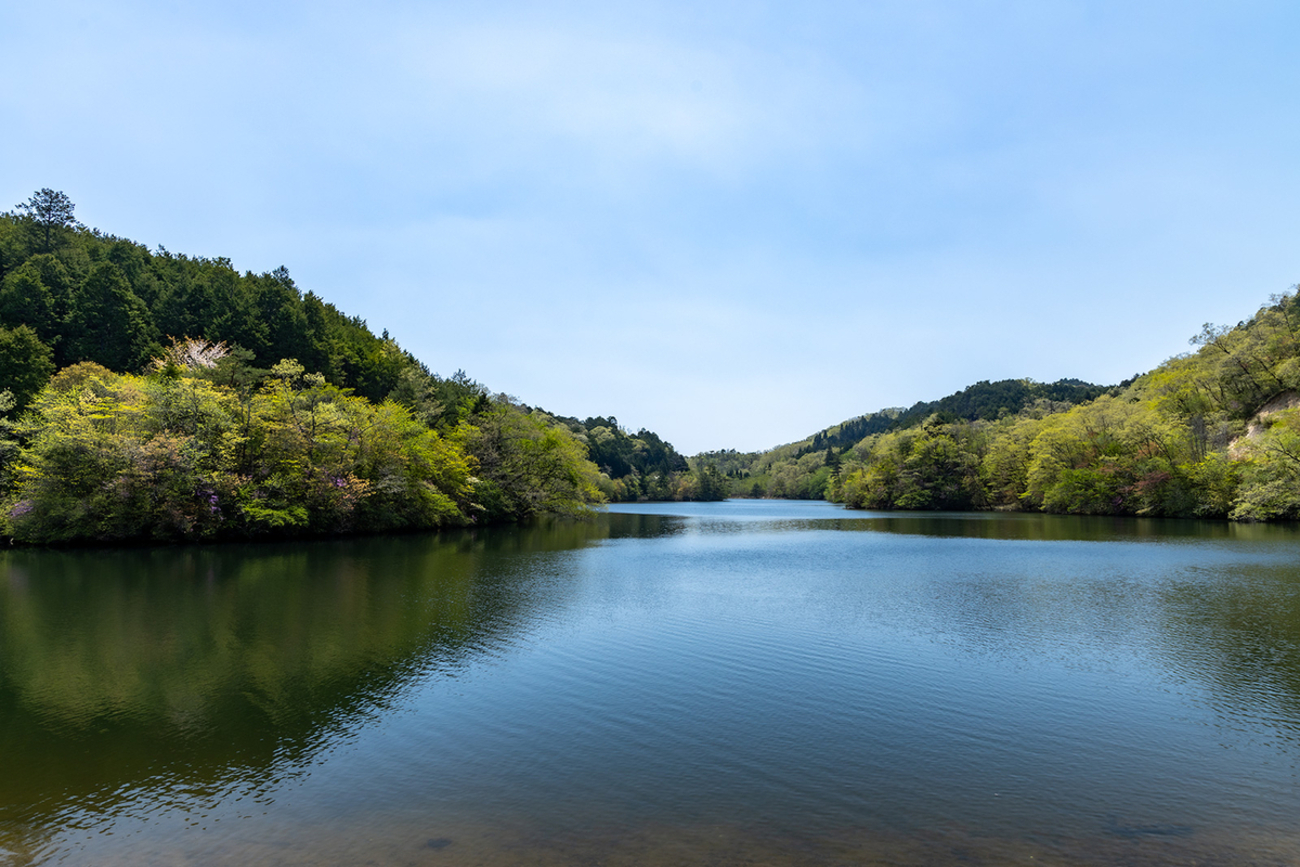 滋賀県の絶景スポット】樹齢1000年の1本スギとか大澤隧道とか伊崎寺
