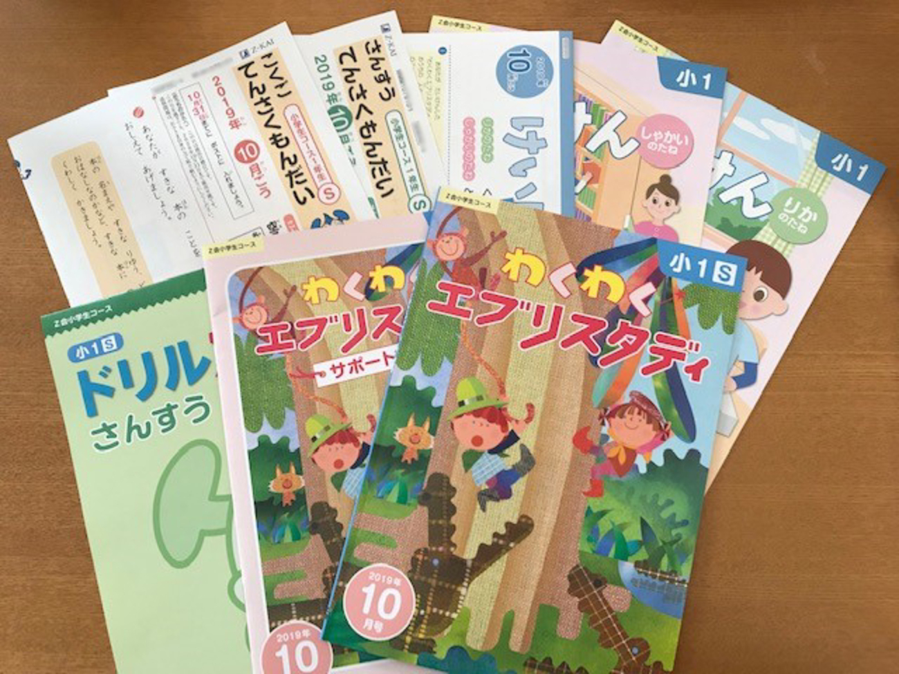 Z会 2021年度 小6 エブリスタディ 1年分 【美品 書き込み無し】Z