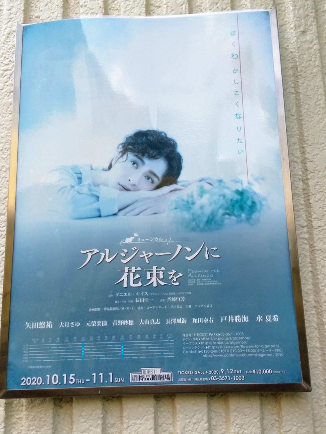 アルジャーノンに花束を ミュージカル CD CD☆ミュージカル「アルジャーノンに花束を」☆浦井健治 （放送
