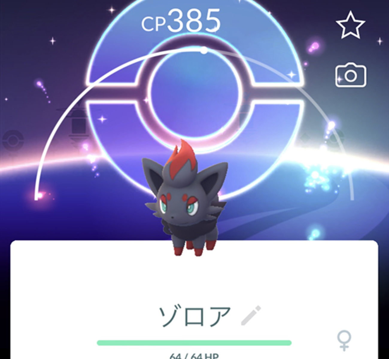 ゾロアのコミュニティデイを終えて