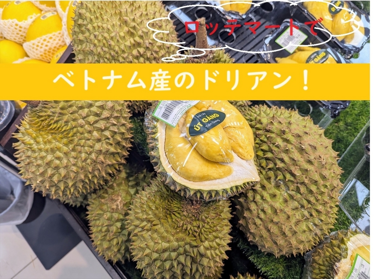 【即発送】ベトナム産ドリアン 箱込み約10kg 即発送】ベトナム産ドリアン 箱込み約10kg タイ産 ドリアン 新鮮な果物2