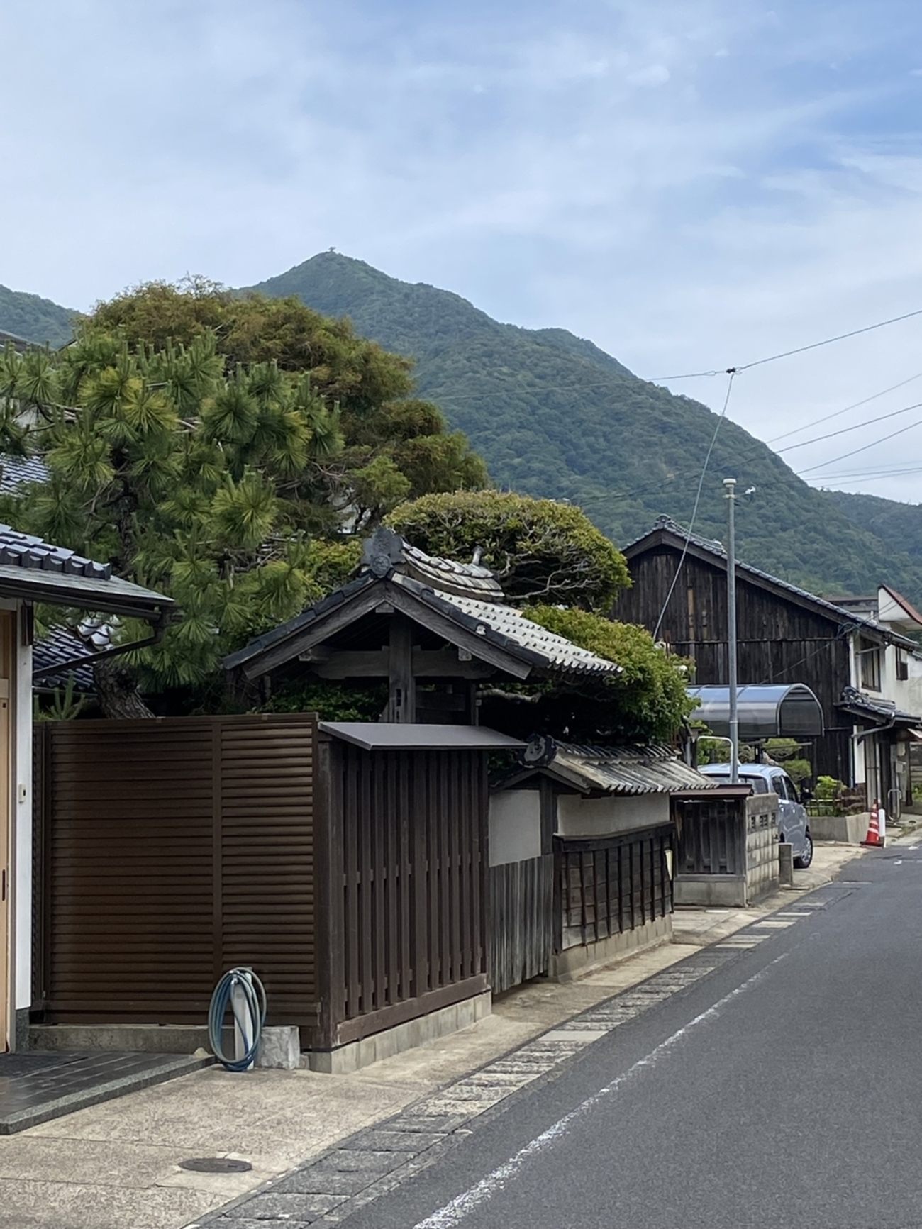 写真 - otonanekomimi’s blog