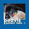 SLOWLY TAPE - 1 - EP